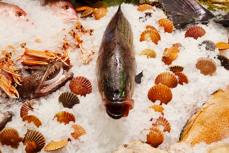 eataly_fish