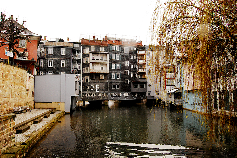 blueberrypies3-copyright2012-2014_