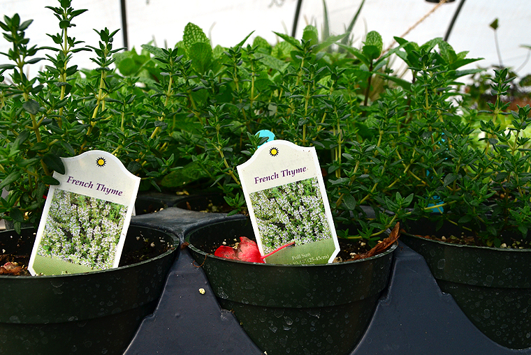 pickgardenfarms13-copyright2012-2014_15 copy2