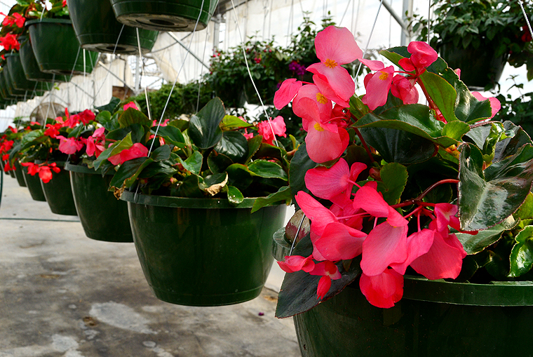 pickgardenfarms16-copyright2012-2014_15 copy2