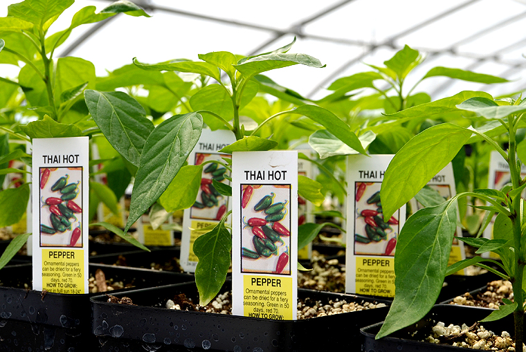 pickgardenfarms25-copyright2012-2014_15 copy2