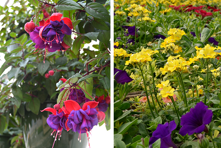 pickgardenfarms3-copyright2012-2014_15 copy2