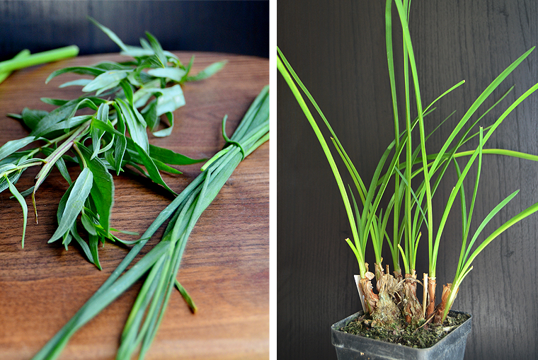 frenchomlete5-copyright2012-2014_