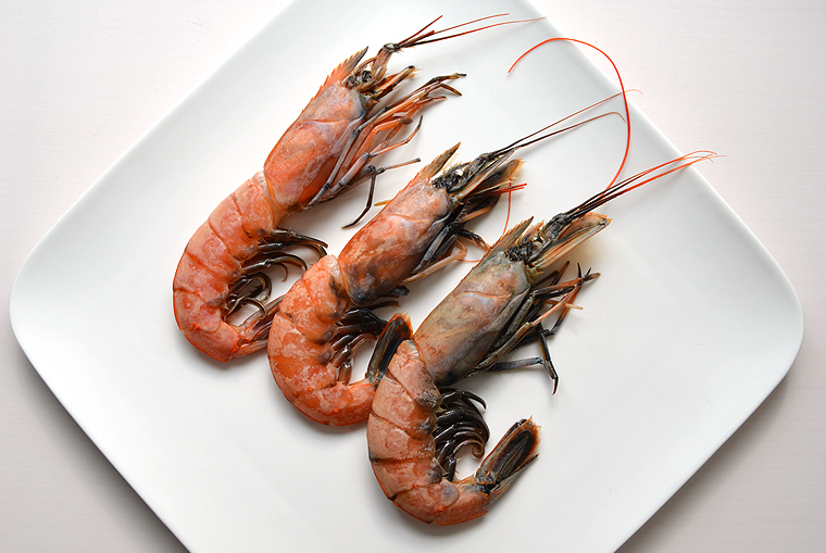 sangria18_copyrightcookscanvas2012-2014