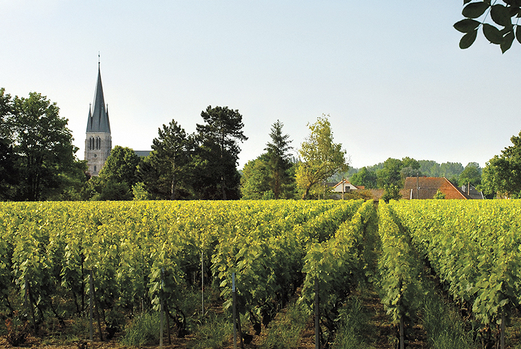 laurentperrier4-copyright2012-2014_27