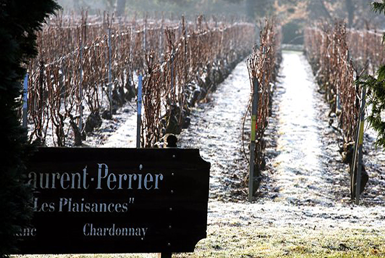 laurentperrier5-copyright2012-2014_27