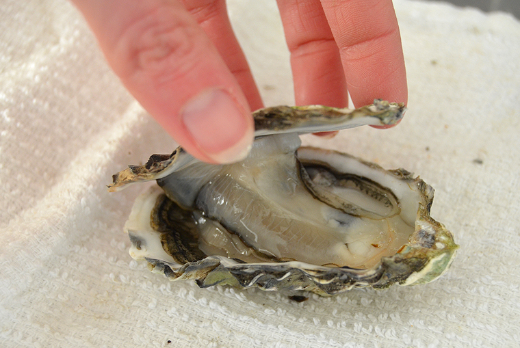 laurent-perrier_grandsiecle11-copyright2012-2015_36