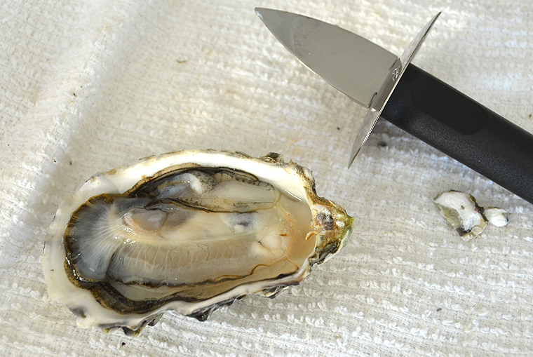 laurent-perrier_grandsiecle12-copyright2012-2015_36