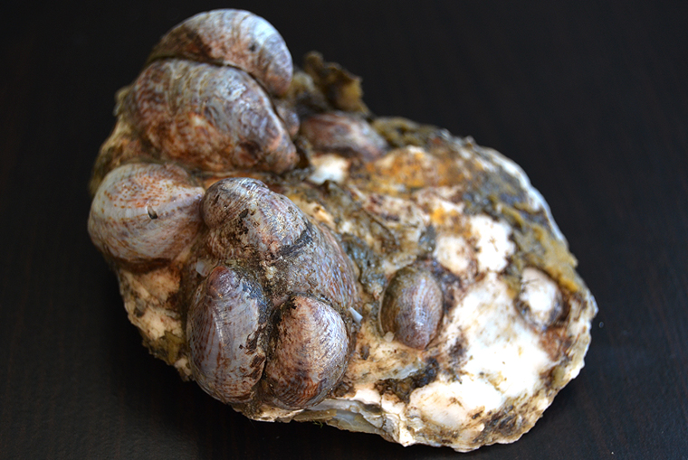 laurent-perrier_grandsiecle5-copyright2012-2015_36