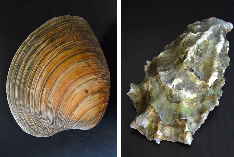 laurent-perrier_grandsiecle6-copyright2012-2015_36