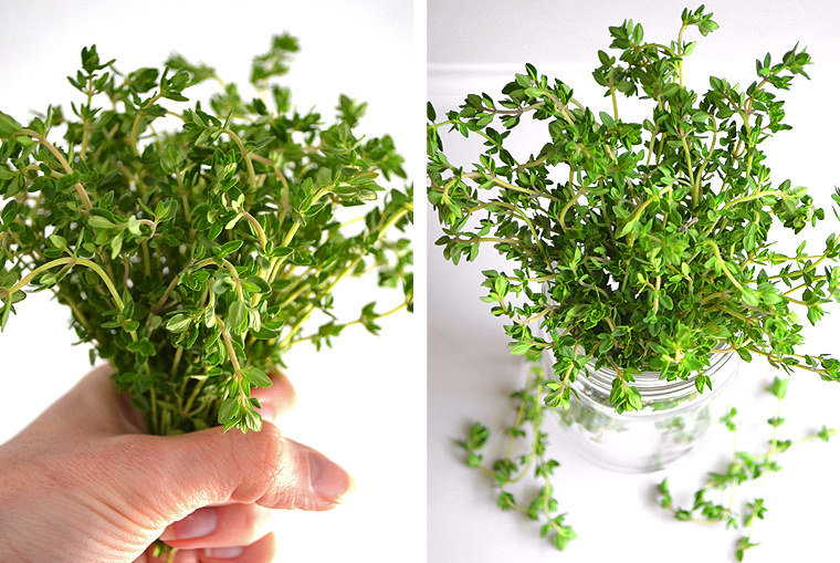 revol_france_ratatouille2_ acookscanvas-copyright2012-2015_50