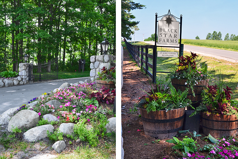 BlackStarFarms3_ acookscanvas-copyright2012-2015_58