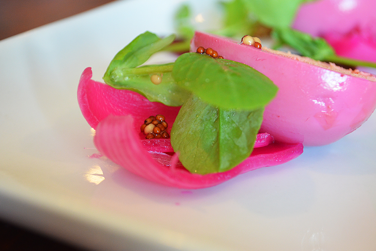 BlackStarFarms48_ acookscanvas-copyright2012-2015_58