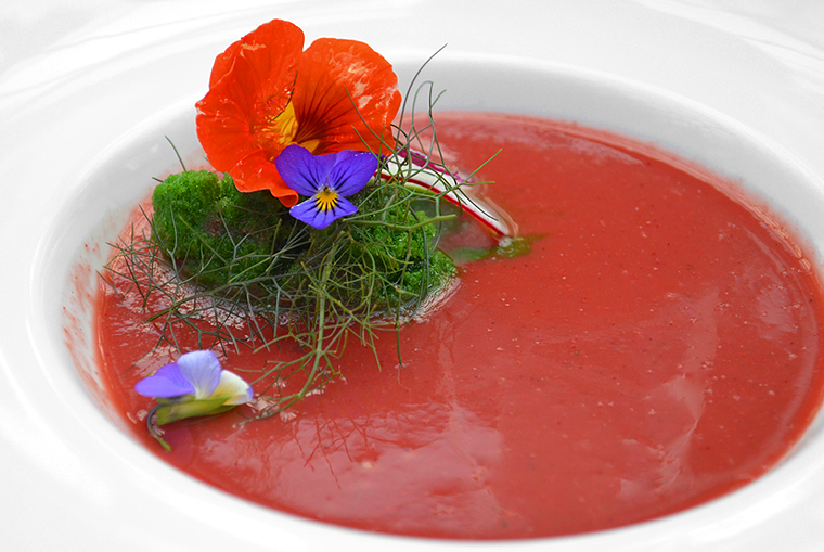 BlackStarFarms_HarvestDinner8_ acookscanvas-copyright2012-2015_57