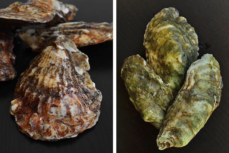 oysters3_boathousetraversecity_acookscanvas-copyright2012-2017_71