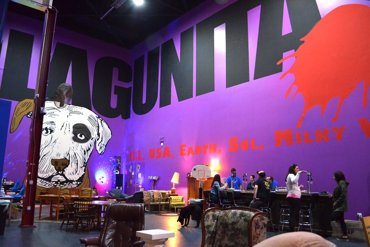 Lagunitas8_acookscanvas-copyright2012-2017_92