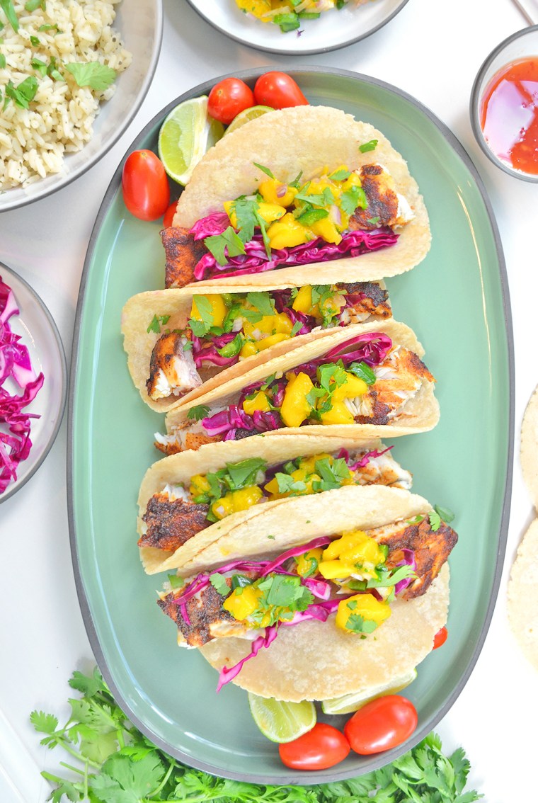 AustralisBarramundi2_image2_acookscanvas-copyright2012-2019_510.2