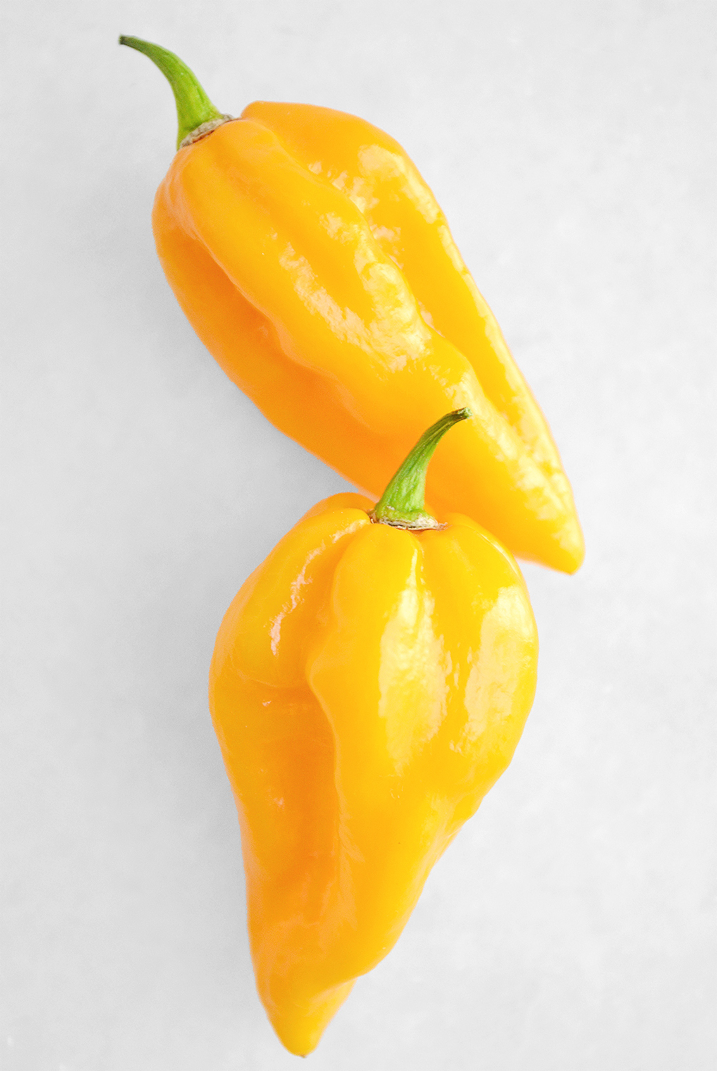 coconut crusted shrimp1_acookscanvas-copyright2012-2020_683 copy