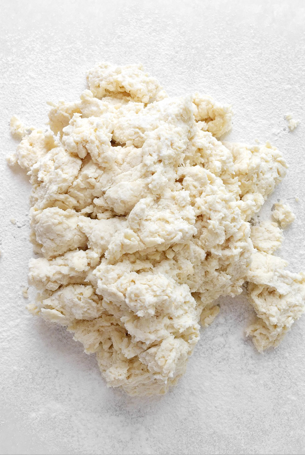 Chicken and a Biscuit1-copyright2012-2020_